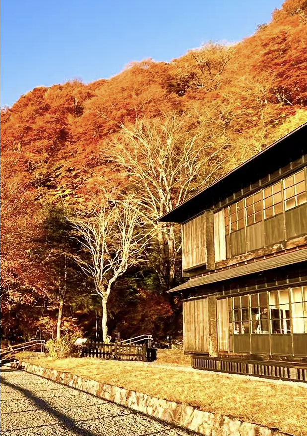 A wooden building beside golden autumn trees beneath a blue sky